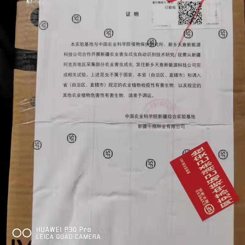 害蟲標本